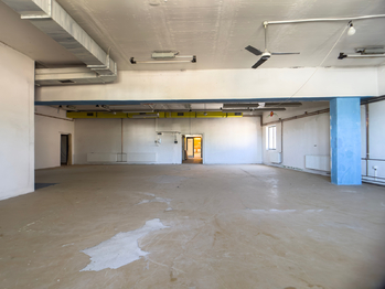 Pronájem obchodních prostor 920 m², Rousínov