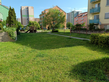 Pronájem bytu 2+kk v družstevním vlastnictví 40 m², České Budějovice