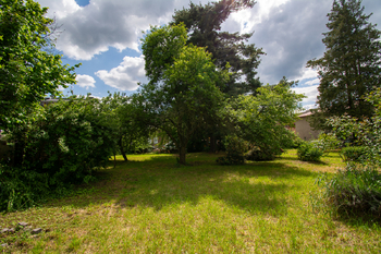 Zahrada - Prodej domu 261 m², Kostelec nad Orlicí