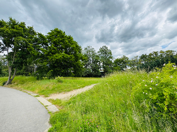 Prodej pozemku 5647 m², Slavkov u Brna