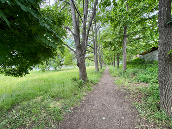 Prodej pozemku 5647 m², Slavkov u Brna
