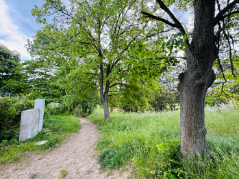 Prodej pozemku 5647 m², Slavkov u Brna