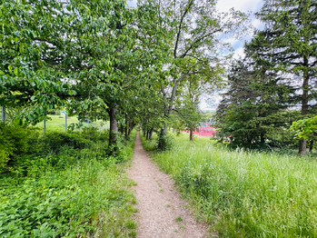 Prodej pozemku 5647 m², Slavkov u Brna