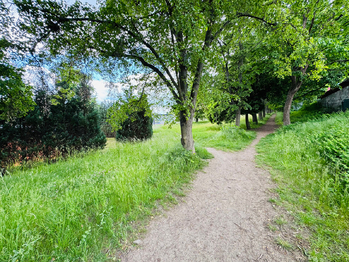 Prodej pozemku 5647 m², Slavkov u Brna