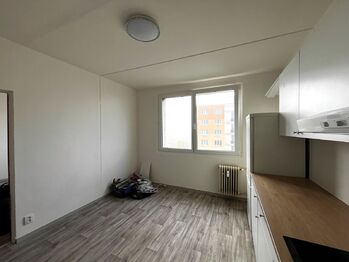 Pronájem bytu 1+1 v osobním vlastnictví 36 m², Plzeň
