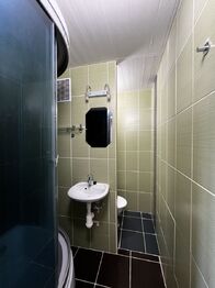Pronájem bytu 1+1 v osobním vlastnictví 36 m², Plzeň