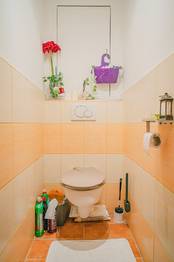 Prodej bytu 2+1 v osobním vlastnictví 56 m², Hradec Králové
