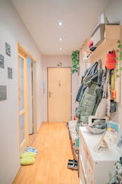 Prodej bytu 2+1 v osobním vlastnictví 56 m², Hradec Králové