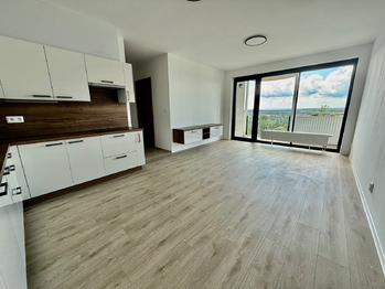 Pronájem bytu 2+kk v osobním vlastnictví 61 m², Plzeň