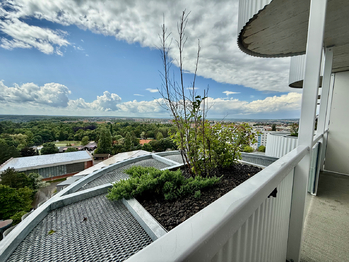 Pronájem bytu 2+kk v osobním vlastnictví 61 m², Plzeň