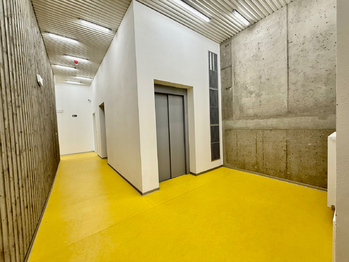 Pronájem bytu 2+kk v osobním vlastnictví 61 m², Plzeň