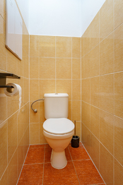 WC 4NP - Prodej bytu 3+kk v osobním vlastnictví 126 m², Čelákovice