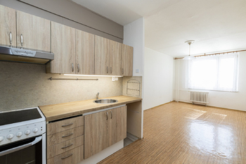 Pronájem bytu 3+1 v osobním vlastnictví 77 m², Litoměřice