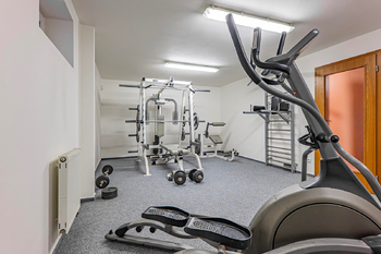 vlastní fitko - Prodej domu 286 m², Bradlec