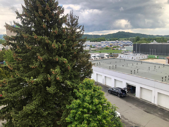 Pronájem bytu 1+kk v osobním vlastnictví 25 m², Šumperk