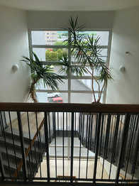 Pronájem bytu 1+kk v osobním vlastnictví 25 m², Šumperk