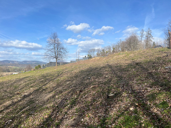 Prodej pozemku 800 m², Střítež nad Bečvou