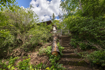 Prodej chaty / chalupy 46 m², Zdiby