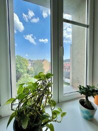 Prodej bytu 3+1 v družstevním vlastnictví 93 m², Ostrava