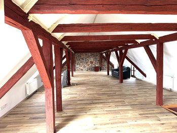 pokoj - Prodej domu 372 m², Buzice