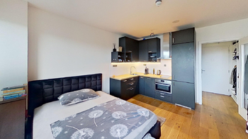Prodej bytu 1+kk v osobním vlastnictví 25 m², Praha 2 - Vinohrady