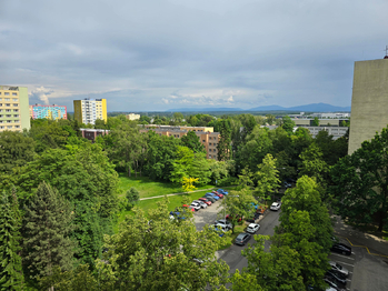 Pronájem bytu 1+1 v osobním vlastnictví 37 m², Ostrava