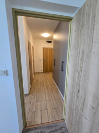 Pronájem bytu 1+1 v osobním vlastnictví 37 m², Ostrava