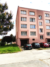 Prodej bytu 2+1 v osobním vlastnictví 55 m², Nová Včelnice