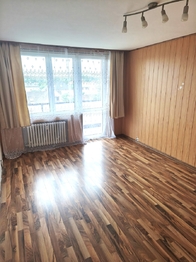 Prodej bytu 2+1 v osobním vlastnictví 55 m², Nová Včelnice