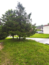 Prodej bytu 2+1 v osobním vlastnictví 55 m², Nová Včelnice
