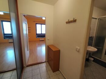 Pronájem bytu 1+kk v družstevním vlastnictví 41 m², Roudnice nad Labem