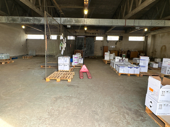 Prodej skladovacích prostor 13173 m², Horšovský Týn
