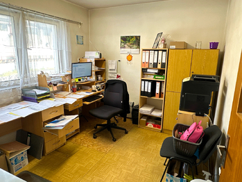 Prodej skladovacích prostor 13173 m², Horšovský Týn