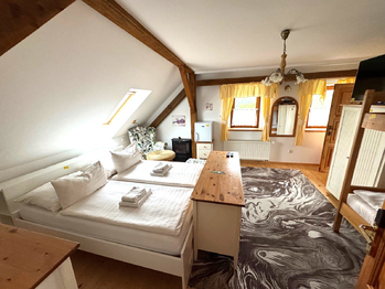 pokoj - Prodej ubytovacího zařízení 398 m², Buzice