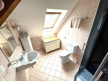 sociální zázemí k pokoji - Prodej ubytovacího zařízení 398 m², Buzice
