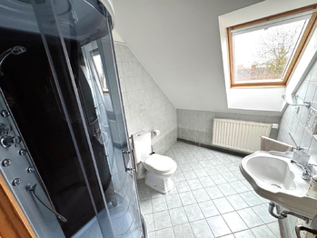 sociální zázemí k pokoji - Prodej ubytovacího zařízení 398 m², Buzice