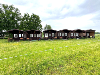 pohled na chatičky - Prodej ubytovacího zařízení 398 m², Buzice