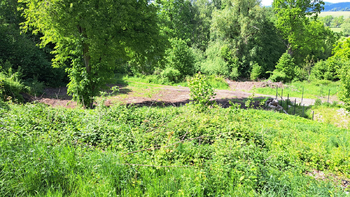 Prodej pozemku 1410 m², Zákupy