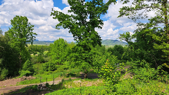 Prodej pozemku 1410 m², Zákupy