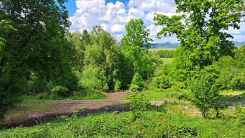 Prodej pozemku 1410 m², Zákupy