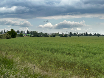 Prodej pozemku 3699 m², Brno