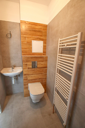 koupelna - Pronájem bytu 1+1 v osobním vlastnictví 36 m², České Budějovice