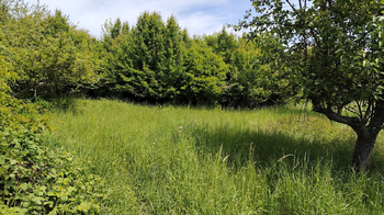 Prodej pozemku 6605 m², Podsedice