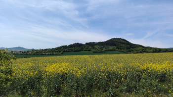 Prodej pozemku 6605 m², Podsedice