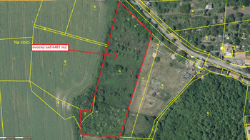 Prodej pozemku 6605 m², Podsedice