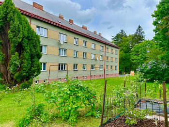 soukromé zahrádky za domem na společném pozemku - Prodej bytu 3+kk v osobním vlastnictví 70 m², Nasavrky