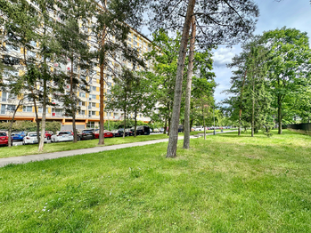 Pronájem bytu 3+1 v osobním vlastnictví 67 m², Praha 8 - Kobylisy