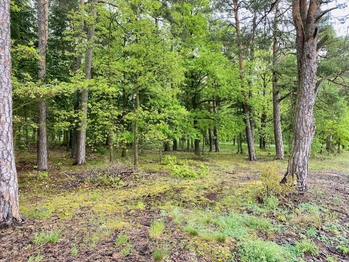 Krásná chalupa se stodolou - Křivoklátsko - Prodej chaty / chalupy 230 m², Nezabudice