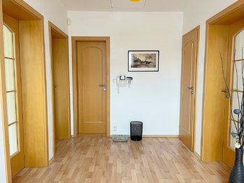 Hala 2NP - Pronájem domu 228 m², Šestajovice