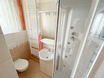 Koupelna se sprchou 1NP - Pronájem domu 228 m², Šestajovice